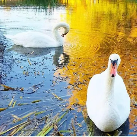 Chez Julien: Confort Plein Centre Lejlighed Lunéville